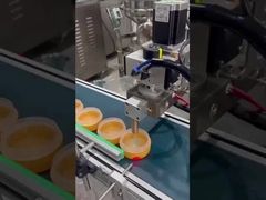 자동 메이크업 베이스 채우기 기계 SUS304 기어 펌프 가열