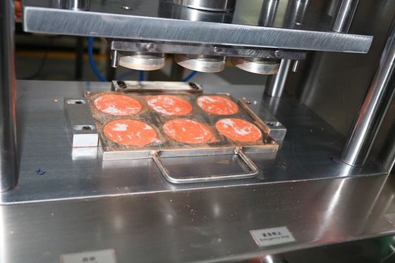 6 홀 Cnc 알루미늄 폼 폼 습한 파우더 1 년 보증